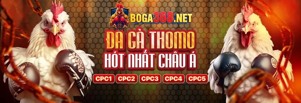 Đấu gà ty88: Sân đấu rực lửa với những chiến kê dũng mãnh