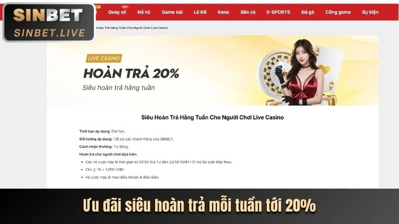 Hoàn trả cược thua TY88